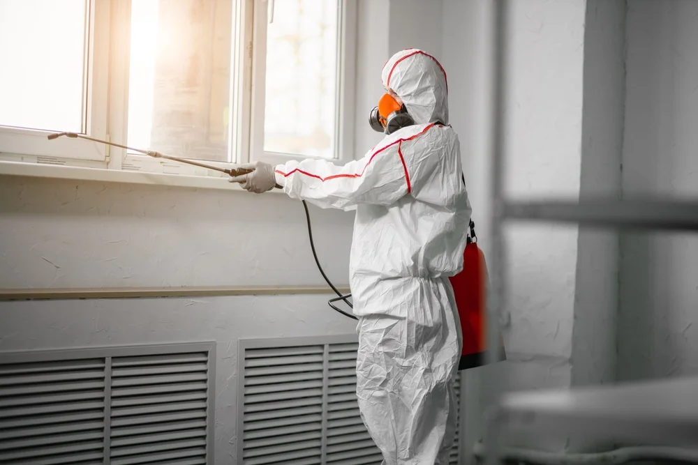 Professional mold remediation services in Walkerton, IN